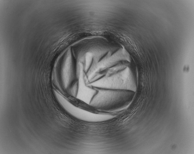 X0000096190697200802151503