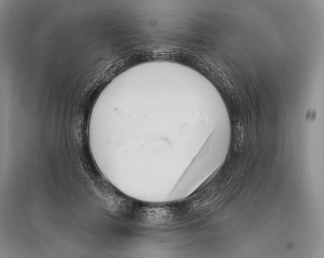 X0000096190698200802151503