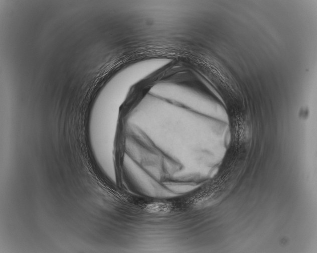 X0000096190700200802151503