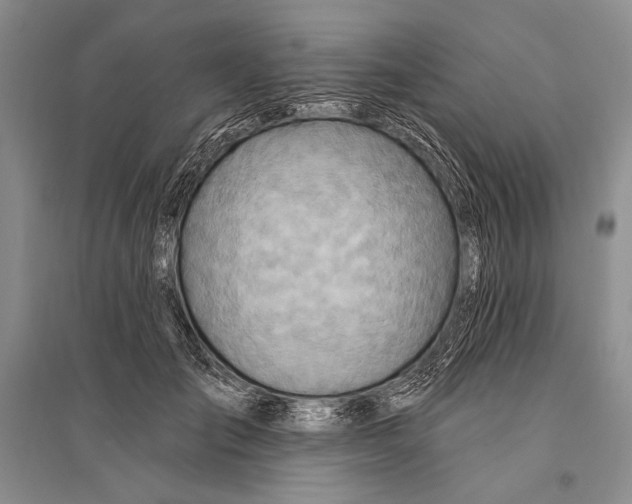 X0000096190701200802151503