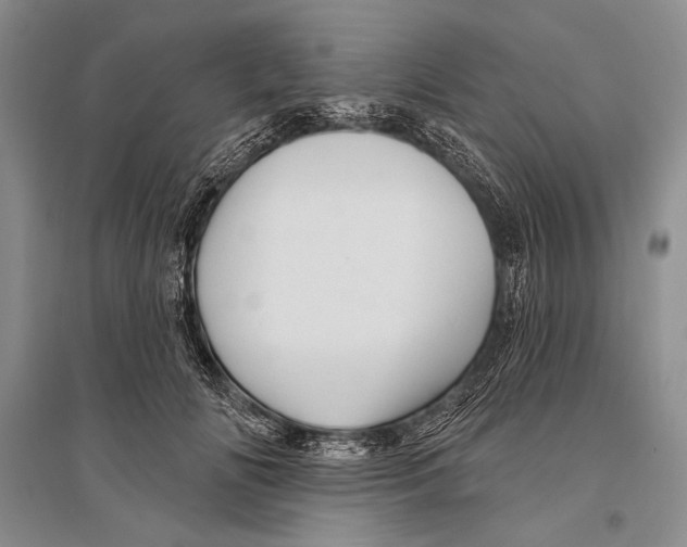 X0000096190702200802151503