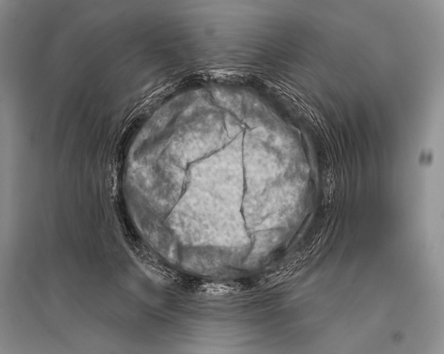 X0000096190703200802151503