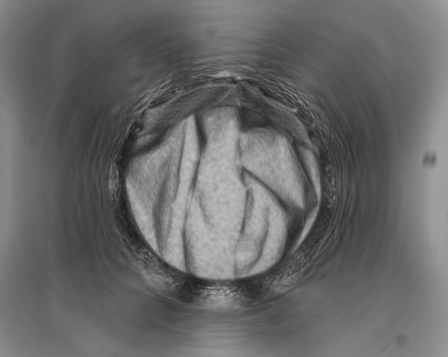 X0000096190704200802151503