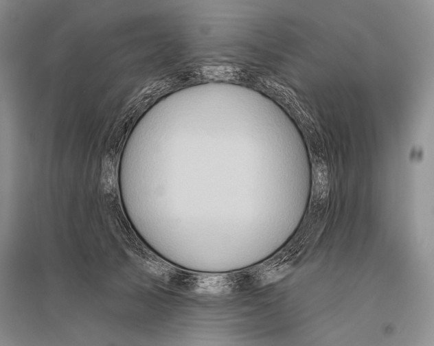 X0000096190705200802151503