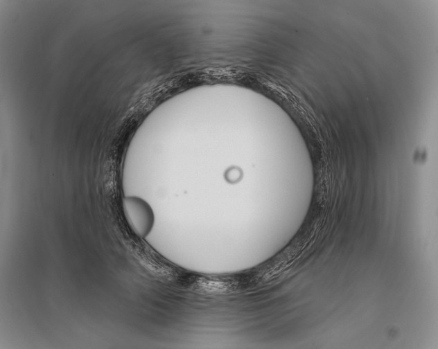 X0000096190706200802151503