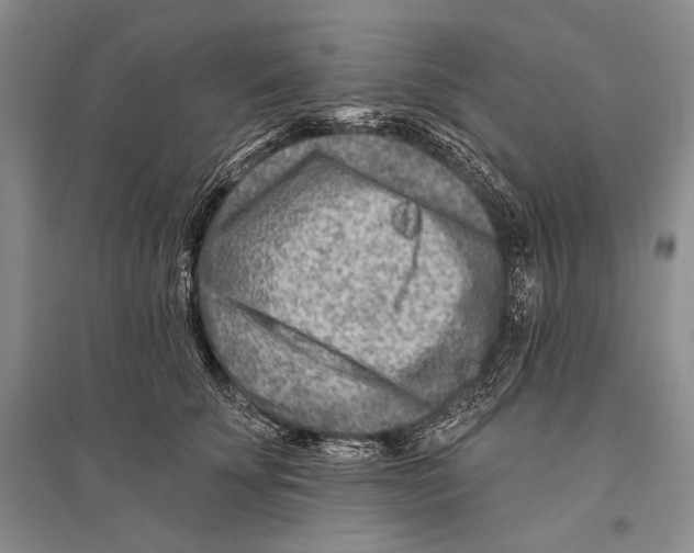 X0000096190707200802151503