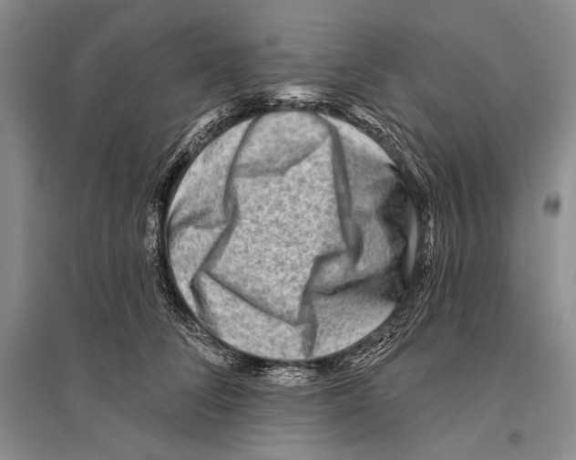 X0000096190708200802151503