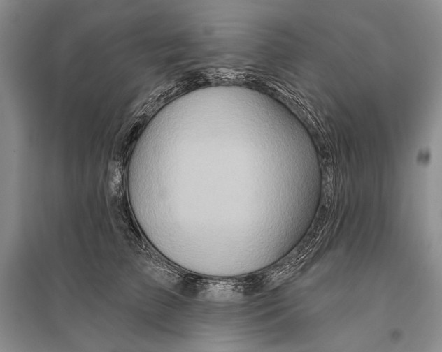 X0000096190709200802151503