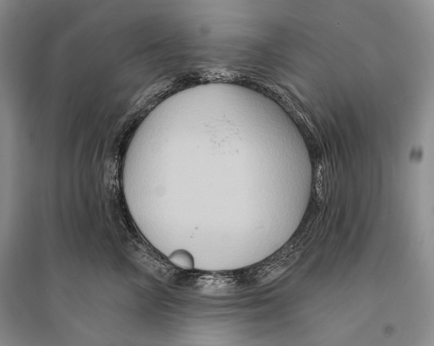 X0000096190714200802151503