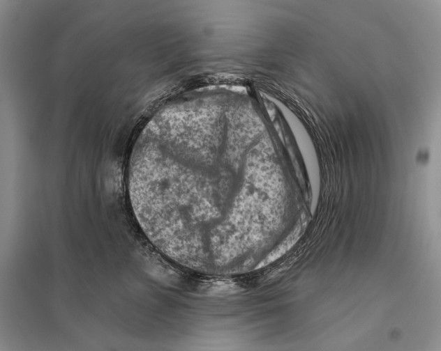 X0000096190715200802151503