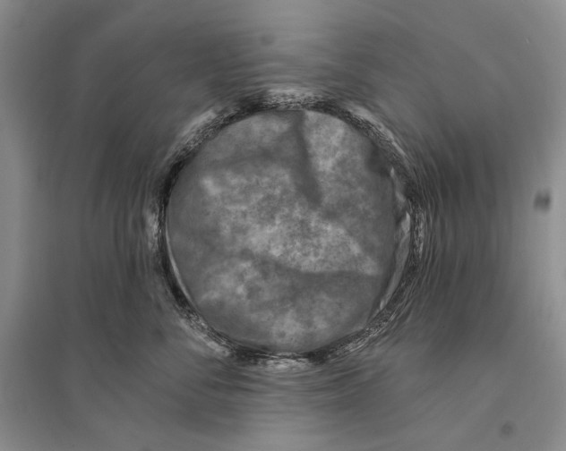 X0000096190716200802151503