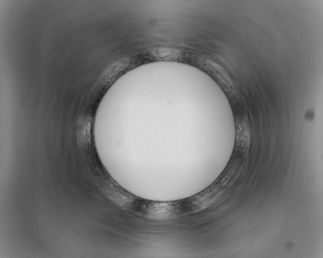 X0000096190717200802151503