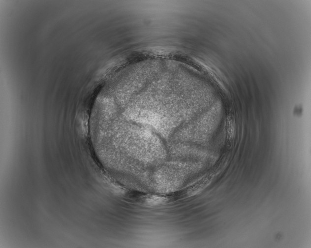 X0000096190718200802151503