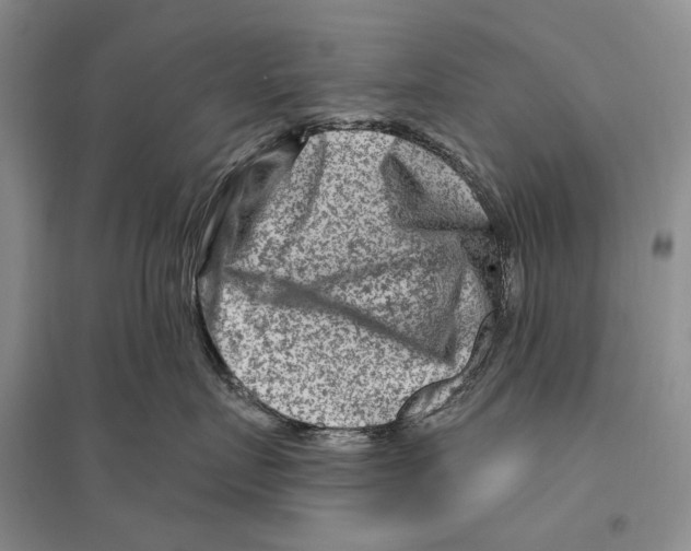 X0000096190719200802151503