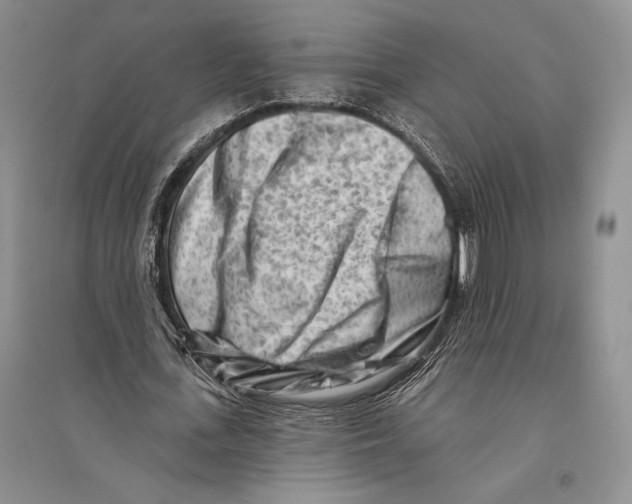 X0000096190723200802151502