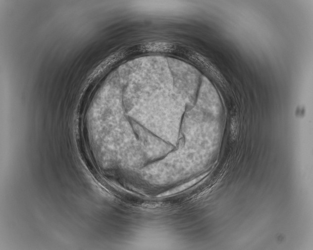 X0000096190725200802151502