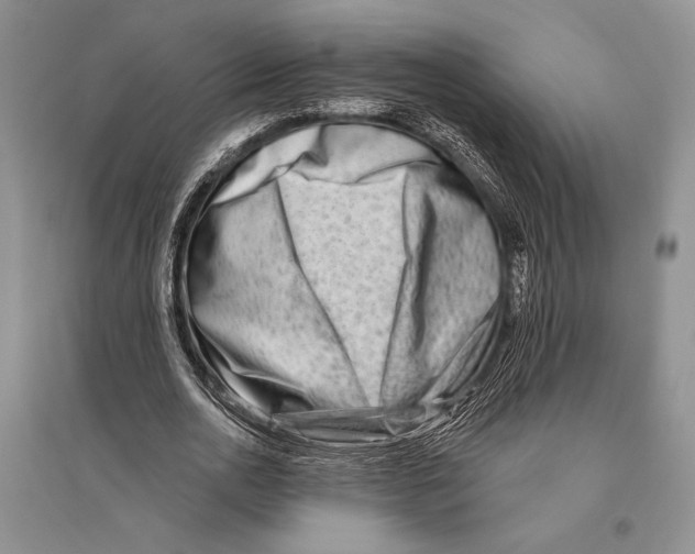 X0000096190726200802151502