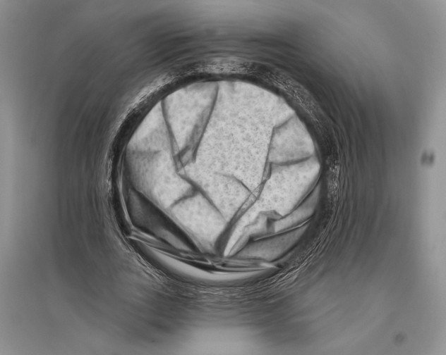 X0000096190727200802151502