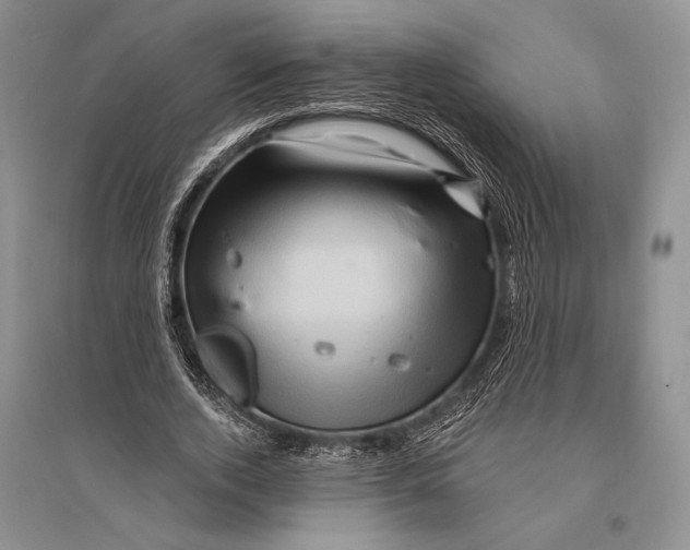 X0000096190728200802151502