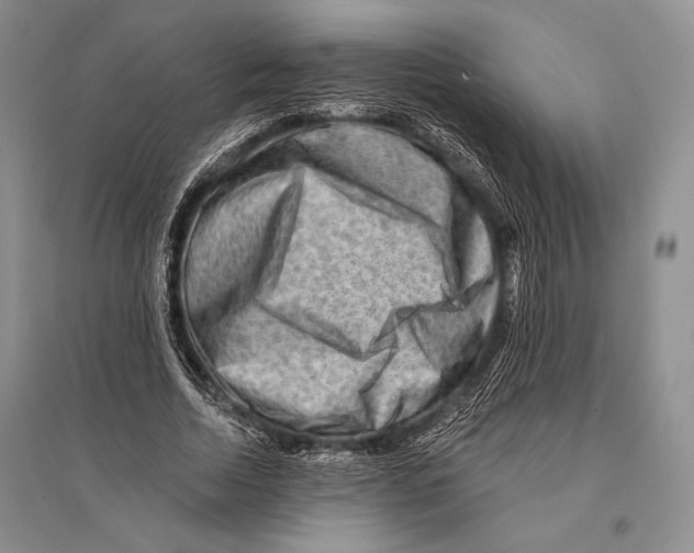 X0000096190730200802151502