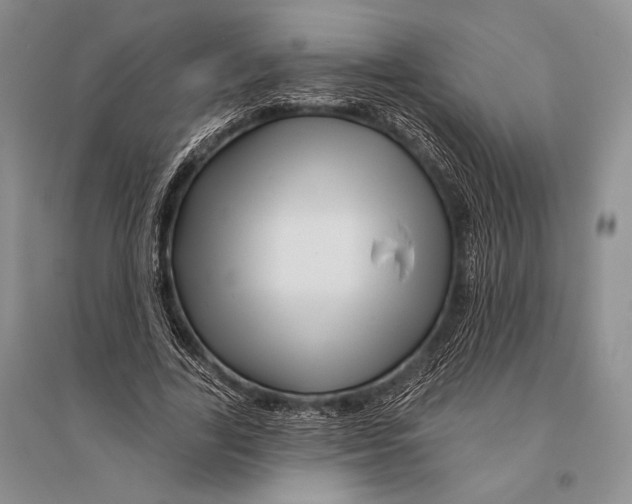 X0000096190731200802151502