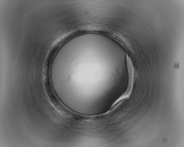 X0000096190732200802151502