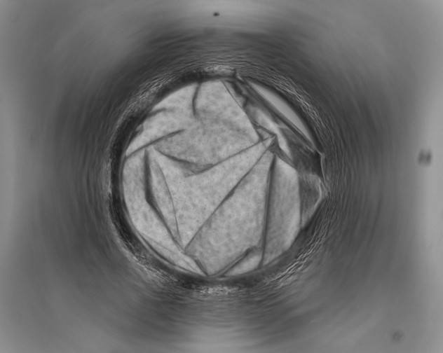 X0000096190734200802151502