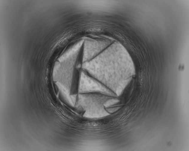 X0000096190735200802151502