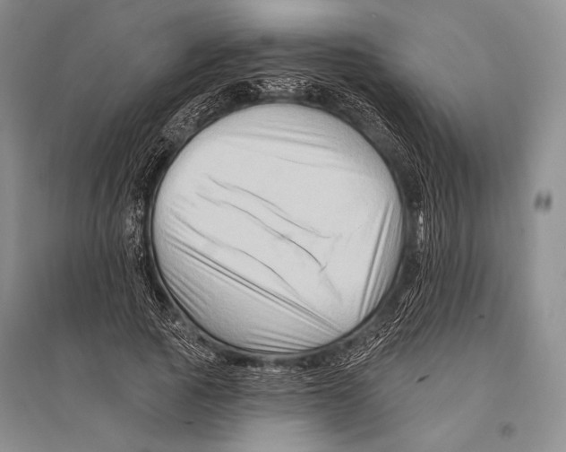 X0000096190737200802151502