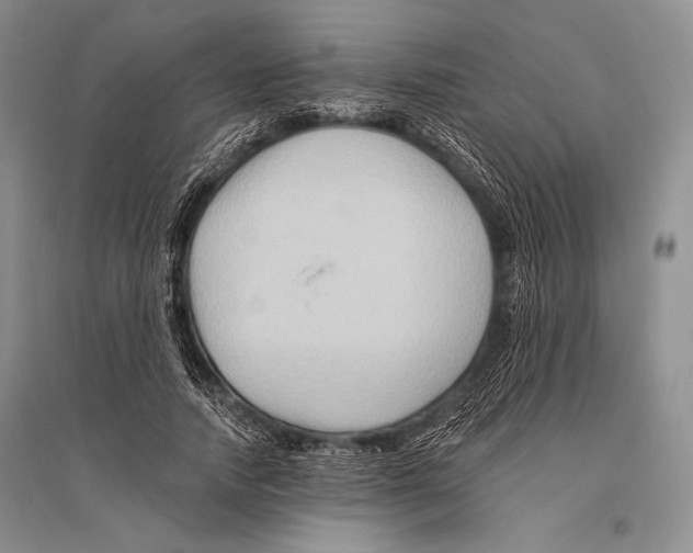 X0000096190738200802151502