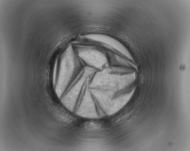 X0000096190739200802151503