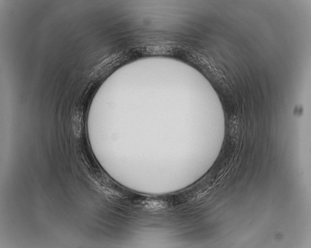 X0000096190741200802151503