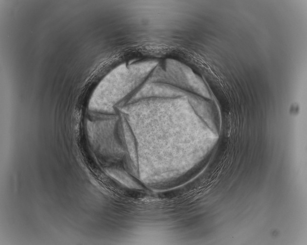 X0000096190742200802151503