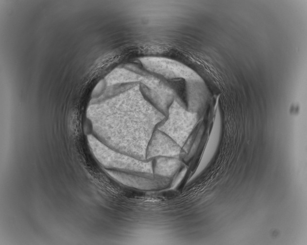 X0000096190743200802151503