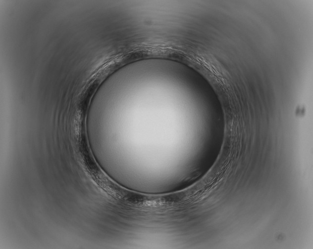 X0000096190744200802151503