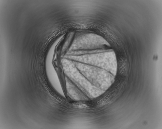 X0000096190747200802151503