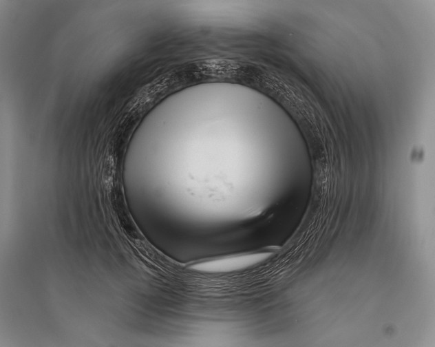 X0000096190752200802151503