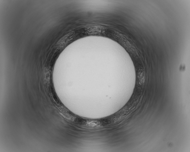 X0000096190753200802151503