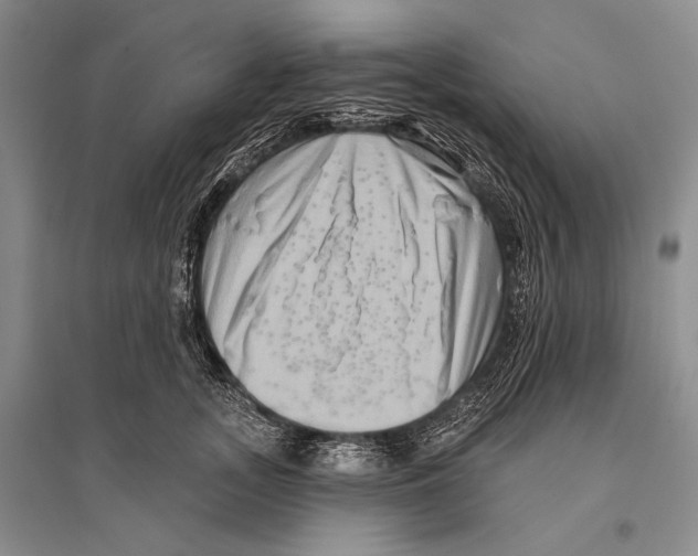 X0000096190755200802151503