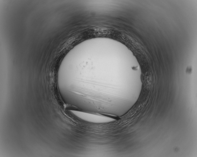 X0000096190756200802151503