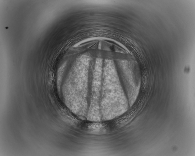 X0000096190759200802151503