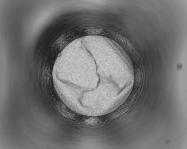 X0000096190761200802151503