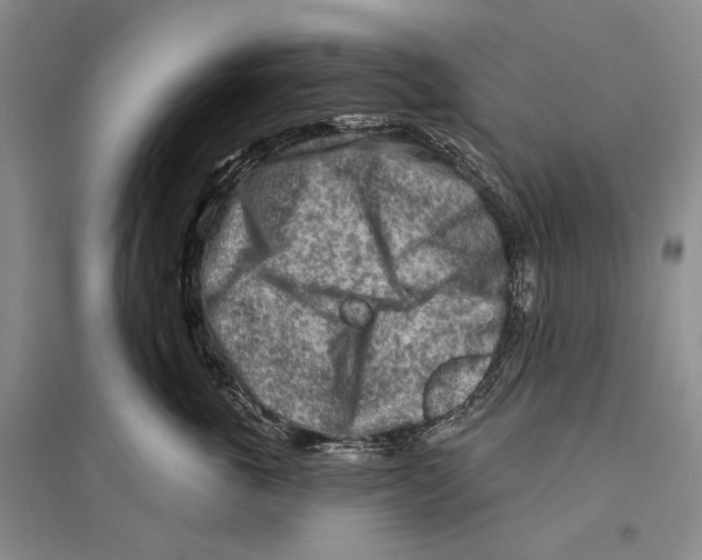 X0000096190763200802151503