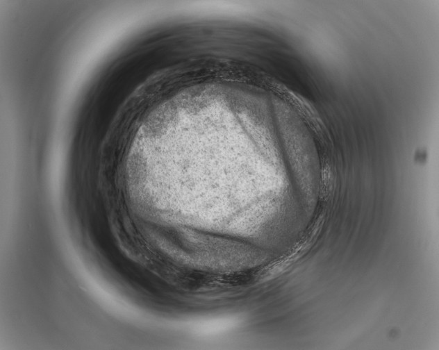 X0000096190765200802151503