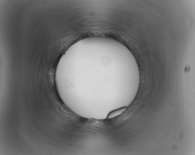 X0000096190768200802151503