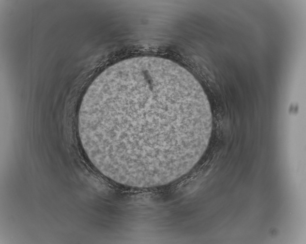 X0000096190769200802151502