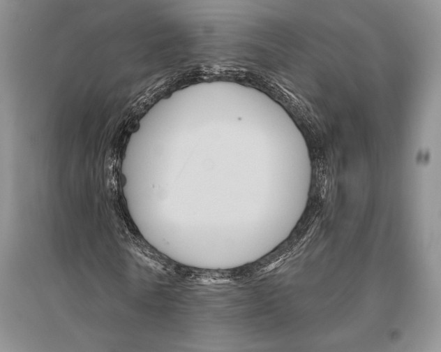 X0000096190770200802151502