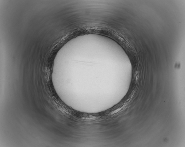 X0000096190772200802151502