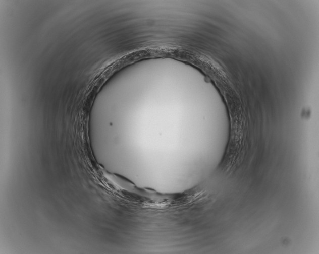 X0000096190773200802151502