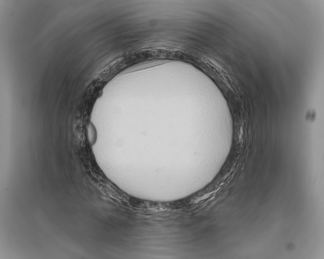 X0000096190774200802151502